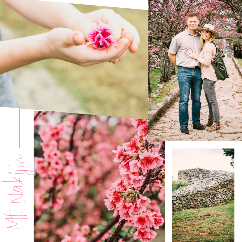 Cherry blossoms Okinawa Japan and Kouri island weekend itinerary