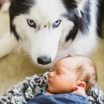 Fredericksburg Virginia newborn photo session
