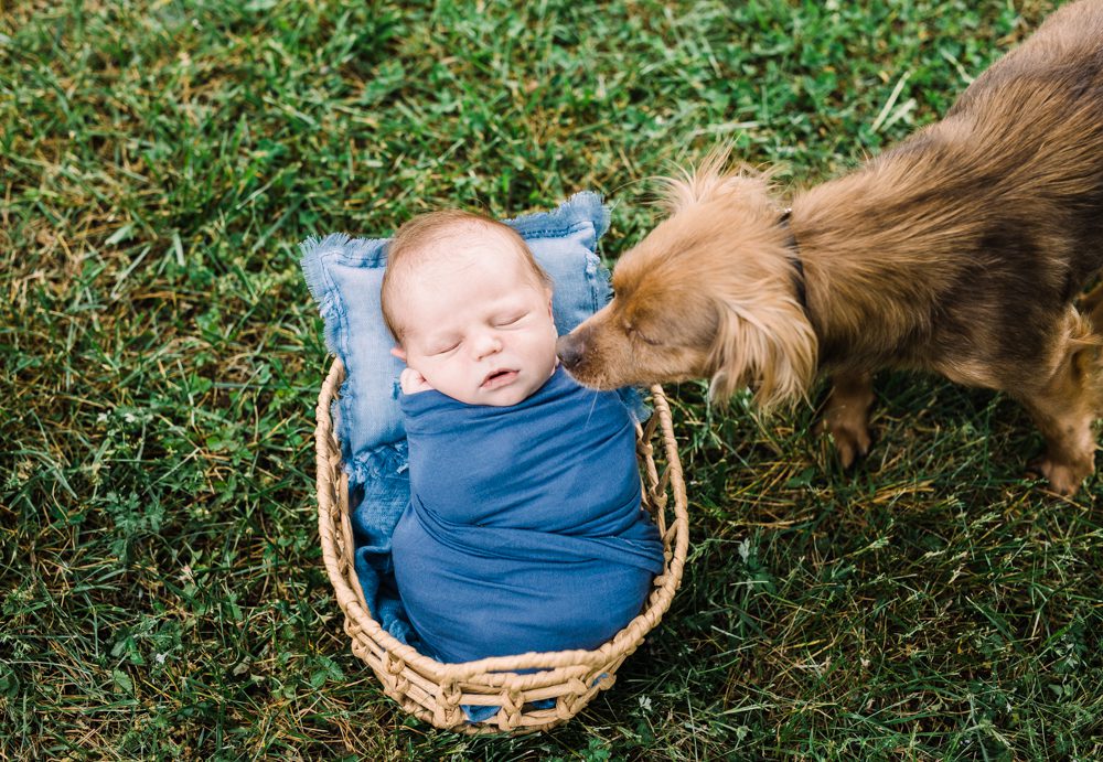 Newborn photo session fxbg Virginia 