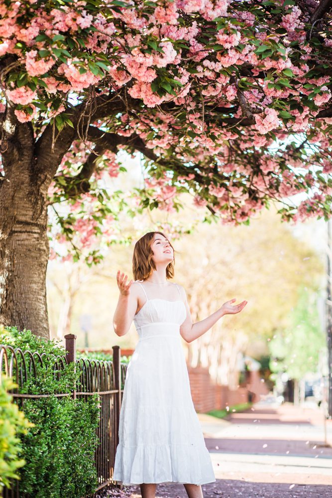 cherry blossom photosession fredericksburg virginia