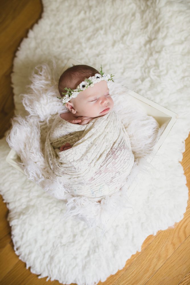 fxbg va newborn photoshoot
