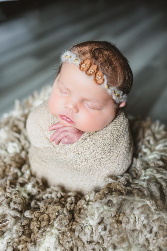 fxbg va newborn photos