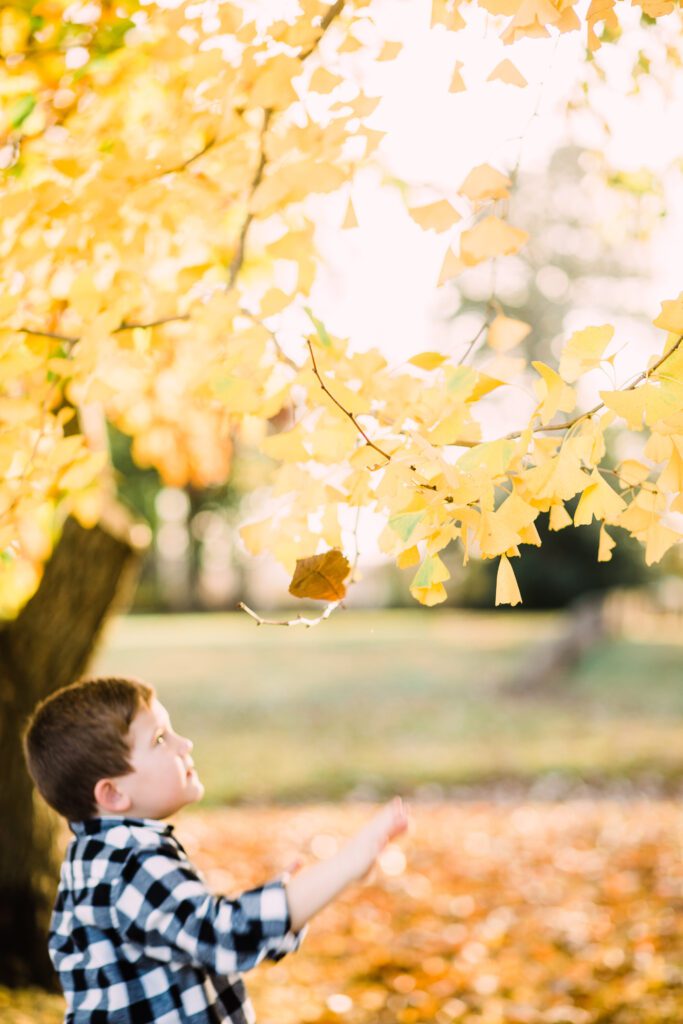 Fall mini photo sessions Fredericksburg Va
