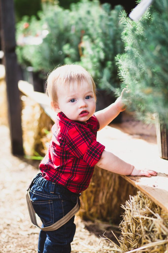 Christmas tree mini photo sessions Fredericksburg Virginia