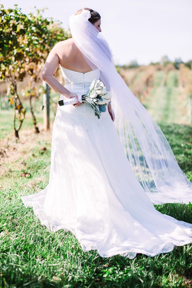 Lake Anna Winery Wedding Spotsylvania Virignia