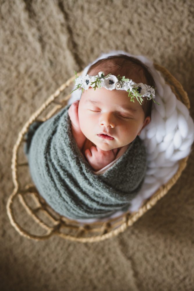 stafford va newborn photography
