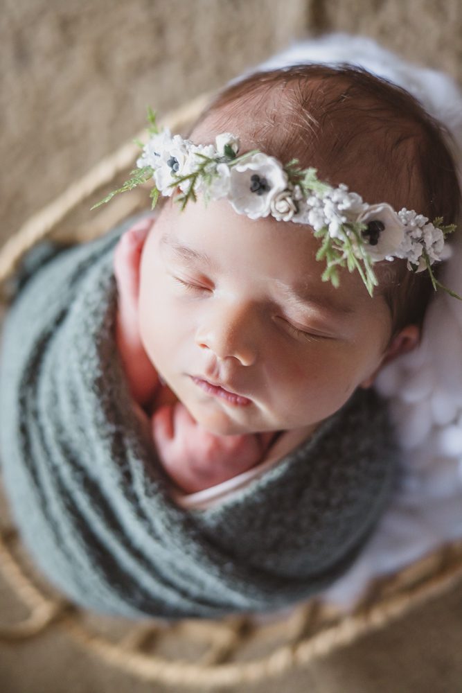 stafford va newborn photography
