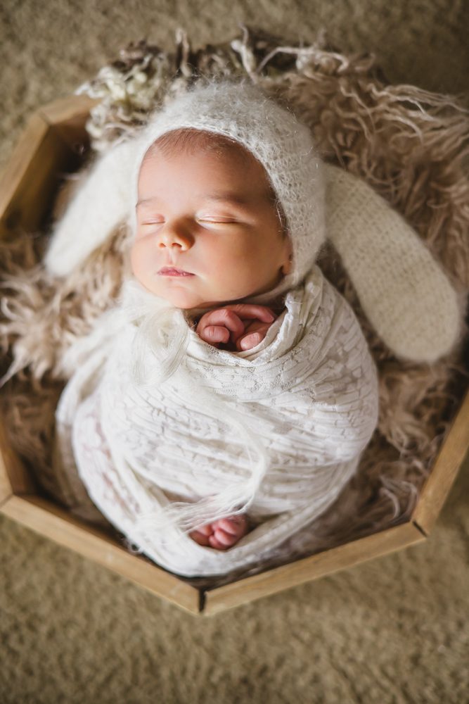 stafford va newborn photography
