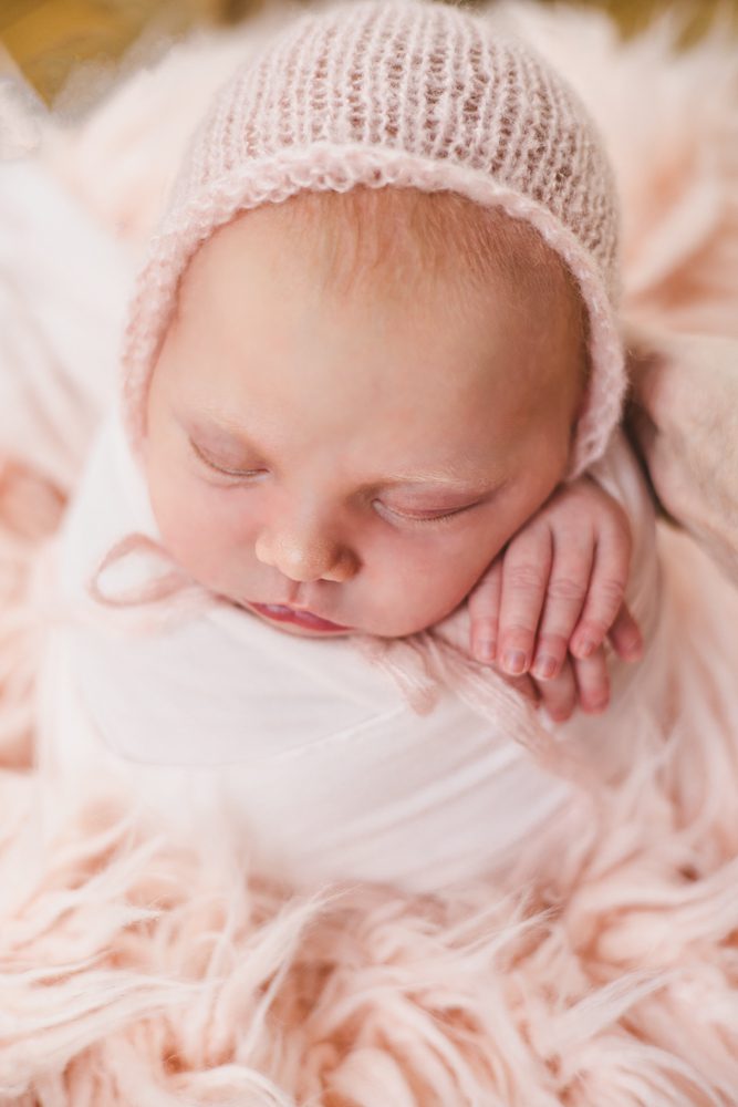 northern virgnia newborn mini photo session