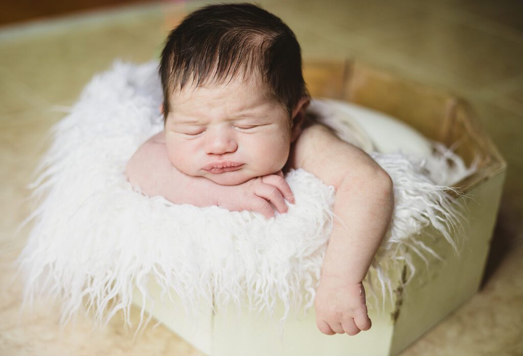 nova newborn photographer